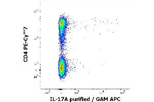 Flow cytometry multicolor intracellular staining of PHA stimulated and Brefeldin A treated peripheral whole blood showing lymphocytes stained using anti-human CD4 (MEM-241) PE-Cy™7 antibody (4 μL reagent / 100 μL of peripheral whole blood) and anti-human IL-17A (9F9) purified antibody (concentration in sample 0,5 μg/mL, GAM APC). (Interleukin 17a antibody)