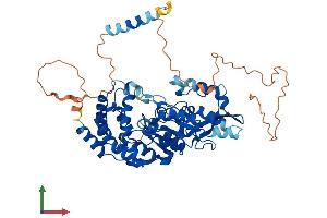 Protein Structure (PS) image for Carbohydrate (N-Acetylgalactosamine 4-Sulfate 6-O) Sulfotransferase 15 (CHST15) (AA 1-561) protein (His tag) (ABIN7553435)