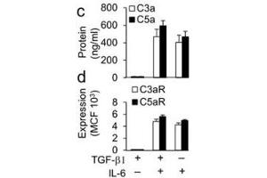 C3a antibody (ABIN285285): Sorted WT Foxp3− CD4+ T cells were incubated for 48 hr with anti-CD3+CD28 beads plus TGF-β1 alone, TGF-β1+IL-6, or IL-6 alone as in (b). (C3a antibody)
