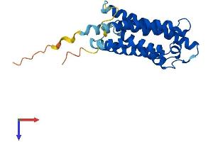 AlphaFold protein structure predicition of Mouse Recombinant Cyb561d1 Protein, UniprotID A2AE42