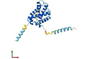 AlphaFold protein structure predicition of Human Recombinant BOK Protein, UniprotID Q9UMX3 (BOK Protein (AA 1-212) (His tag))