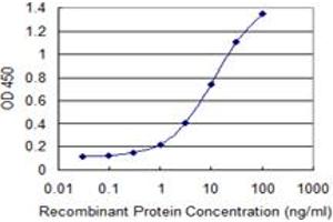Detection limit for recombinant GST tagged NCBP2 is 0. (NCBP2 antibody  (AA 1-99))