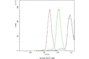 Flow cytometry testing of human A431 cells with NFAT4 antibody at 1ug/10^6 cells (blocked with goat sera)