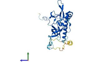 AlphaFold protein structure predicition of Mouse Recombinant Nsa2 Protein, UniprotID Q9CR47 (NSA2 Protein (AA 1-260) (His tag))