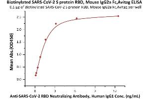 Immobilized Biotinylated SARS-CoV-2 S protein RBD, Mouse IgG2a Fc,Avitag (ABIN6973228) at 1 μg/mL (100 μL/well) on streptavidin  (0.