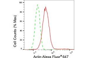 Flow cytometric analysis of Actin expression in HT- cells using Actin antibody (ABIN7797459), 1:2,000). (Recombinant Actin antibody)