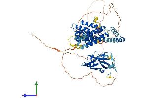 AlphaFold protein structure predicition of Human Recombinant GGA2 Protein, UniprotID Q9UJY4