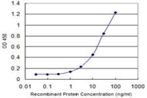 Detection limit for recombinant GST tagged CDH19 is 0. (CDH19 antibody  (AA 231-340))