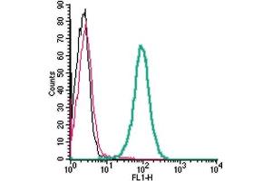 Cell surface detection of GPR97 by indirect flow cytometry in live intact human  monocytic leukemia cell line: + goat-anti-rabbit-FITC. (GPR97 antibody  (Extracellular))