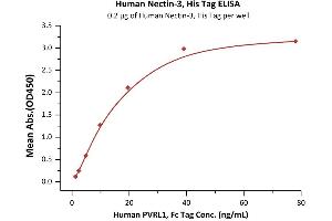 Immobilized Human Nectin-3, His Tag (ABIN4949136,ABIN4949137) at 2 μg/mL (100 μL/well) can bind Human PVRL1, Fc Tag with a linear range of 2-20 ng/mL (QC tested). (nectin-3 Protein (AA 58-400) (His tag))