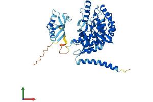 Protein Structure (PS) image for Tryptophan Hydroxylase 1 (TPH1) (AA 1-444) protein (His tag) (ABIN7544618)