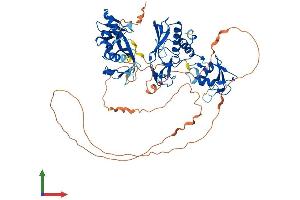 AlphaFold protein structure predicition of Mouse Recombinant Dtx2 Protein, UniprotID Q8R3P2 (DTX2 Protein (AA 1-619) (His tag))