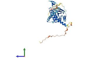 AlphaFold protein structure predicition of Human Recombinant SEPTIN12 Protein, UniprotID Q8IYM1 (Septin 12 Protein (Sep12) (AA 1-358) (His tag))