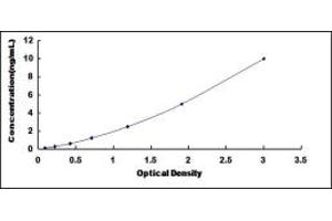 Typical standard curve (NBL1 ELISA Kit)