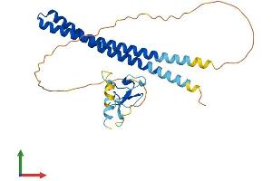 Protein Structure (PS) image for Inhibitor of Growth Family, Member 1 (ING1) (AA 1-279) protein (His tag) (ABIN7561762)