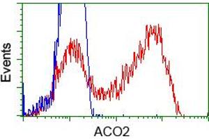 Image no. 1 for anti-Aconitase 2, Mitochondrial (ACO2) antibody (ABIN1496409) (ACO2 antibody)