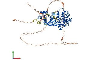 AlphaFold protein structure predicition of Mouse Recombinant Smok2a Protein, UniprotID Q9QYZ6 (Smok2a Protein (AA 1-504) (His tag))