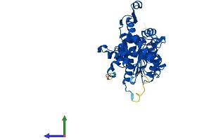 Protein Structure (PS) image for Deoxyhypusine Synthase (DHPS) (AA 1-369) protein (His tag) (ABIN7547089)