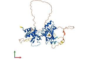 AlphaFold protein structure predicition of Mouse Recombinant Smad7 Protein, UniprotID O35253 (SMAD7 Protein (AA 1-426) (His tag))