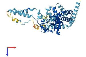 1-Acylglycerol-3-Phosphate O-Acyltransferase 9 (AGPAT9) (AA 1-434) protein (His tag)