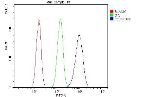 Flow Cytometry analysis of A431 cells using anti-COPE antibody (ABIN7602509). (COPE antibody  (AA 80-308))