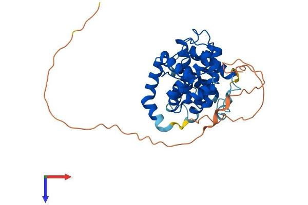 Cyclin O Protein (CCNO) (AA 1-352) (His tag)