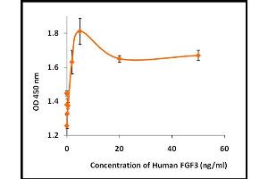 Activity Assay (AcA) image for Fibroblast Growth Factor 3 (FGF3) (Active) protein (ABIN5509489) (FGF3 Protein)