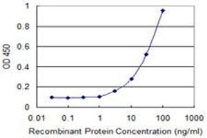 Detection limit for recombinant GST tagged FOXM1 is 1 ng/ml as a capture antibody. (FOXM1 antibody  (AA 22-110))