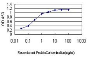 Detection limit for recombinant GST tagged CDX4 is approximately 0. (CDX4 antibody  (AA 71-170))