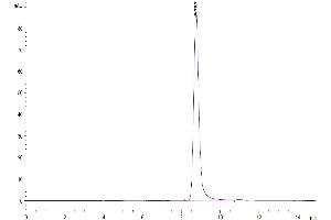The purity of Rhesus macaque CD4 is greater than 95 % as determined by SEC-HPLC. (CD4 Protein (CD4) (AA 26-390) (His tag))
