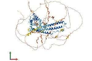 AlphaFold protein structure predicition of Mouse Recombinant Micall1 Protein, UniprotID Q8BGT6 (MICAL-Like 1 Protein (MICALL1) (AA 1-870) (His tag))