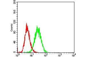 Flow cytometric analysis of Hela cells using CD36 mouse mAb (green) and negative control (red). (CD36 antibody  (AA 30-130))