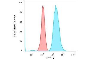 Flow Cytometric Analysis of PFA-fixed K562 cells using Fascin-1 Mouse Monoclonal Antibody (FSCN1/418) followed by Goat anti-Mouse IgG-CF488 (Blue); Isotype Control (Red) (Fascin antibody)