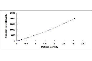 Typical standard curve (WISP1 ELISA Kit)