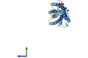Protein Structure (PS) image for Purinergic Receptor P2Y, G-Protein Coupled, 13 (P2RY13) (AA 1-354) protein (His tag) (ABIN7550439)
