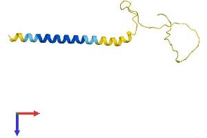 AlphaFold protein structure predicition of Mouse Recombinant Hrct1 Protein, UniprotID Q9D6B9 (HRCT1 Protein (AA 1-109) (His tag))