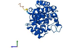AlphaFold protein structure predicition of Human Recombinant AKR7A3 Protein, UniprotID O95154
