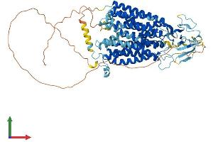 AlphaFold protein structure predicition of Mouse Recombinant Slco4a1 Protein, UniprotID Q8K078 (SLCO4A1 Protein (AA 1-723) (His tag))