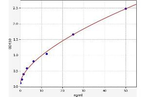 Typical standard curve (SMOX ELISA Kit)