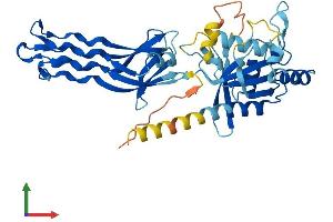 AlphaFold protein structure predicition of Mouse Recombinant Gtpbp10 Protein, UniprotID Q8K013