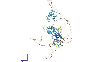 AlphaFold protein structure predicition of Mouse Recombinant Fbxo7 Protein, UniprotID Q3U7U3