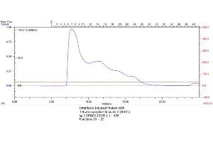 Size-exclusion chromatography-High Pressure Liquid Chromatography (SEC-HPLC) image for Interferon-Induced Protein with Tetratricopeptide Repeats 1 (IFIT1) (AA 1-478) protein (Strep Tag) (ABIN3093032)