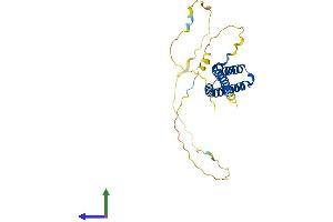 AlphaFold protein structure predicition of Human Recombinant OCEL1 Protein, UniprotID Q9H607