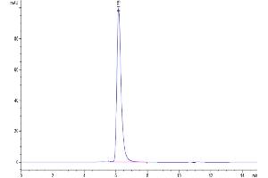 Size-exclusion chromatography-High Pressure Liquid Chromatography (SEC-HPLC) image for Selectin E (SELE) (AA 22-556) protein (His-Avi Tag) (ABIN7274572)