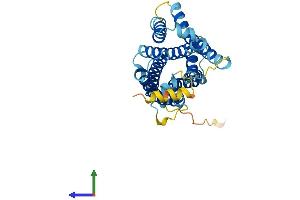 AlphaFold protein structure predicition of Mouse Recombinant Mrgpra4 Protein, UniprotID Q91WW2 (Mrgpra4 Protein (AA 1-313) (His tag))