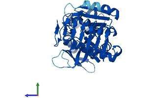 Protein Structure (PS) image for GDP-Mannose Pyrophosphorylase B (GMPPB) (AA 1-360) protein (His tag) (ABIN7548017)