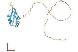 AlphaFold protein structure predicition of Human Recombinant RBM3 Protein, UniprotID P98179
