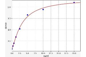 ATF6 ELISA Kit