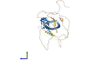 Protein Structure (PS) image for Dachshund 2 (DACH2) (AA 1-599) protein (His tag) (ABIN7553610)