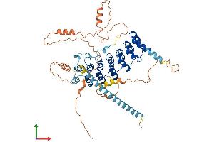 AlphaFold protein structure predicition of Human Recombinant POTEC Protein, UniprotID B2RU33 (POTEC Protein (AA 1-542) (His tag))